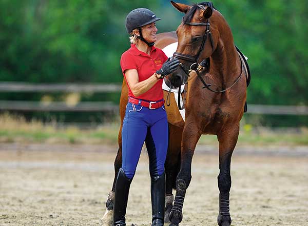 Feldenkrais and Horses
